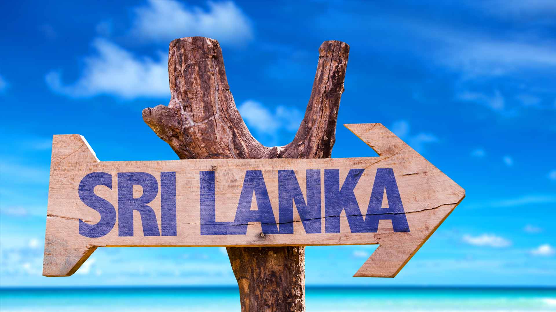 Image représentant Market Perspective: Sri Lanka